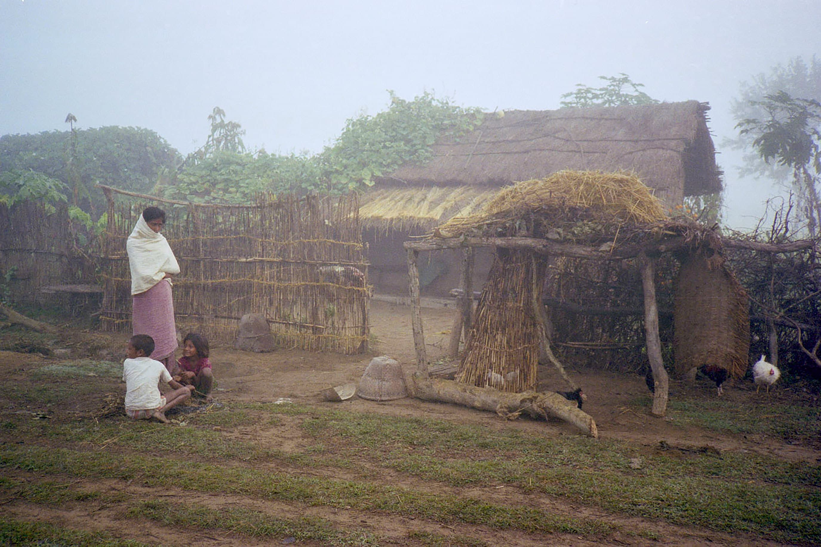 Comprendre les carences en Afrique : fer, vitamine D, iode